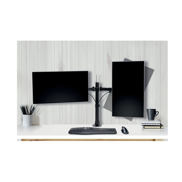 Brazos de monitor SmartFit Ergo