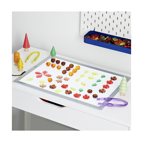 Hojas y Semillas colores translúcidos