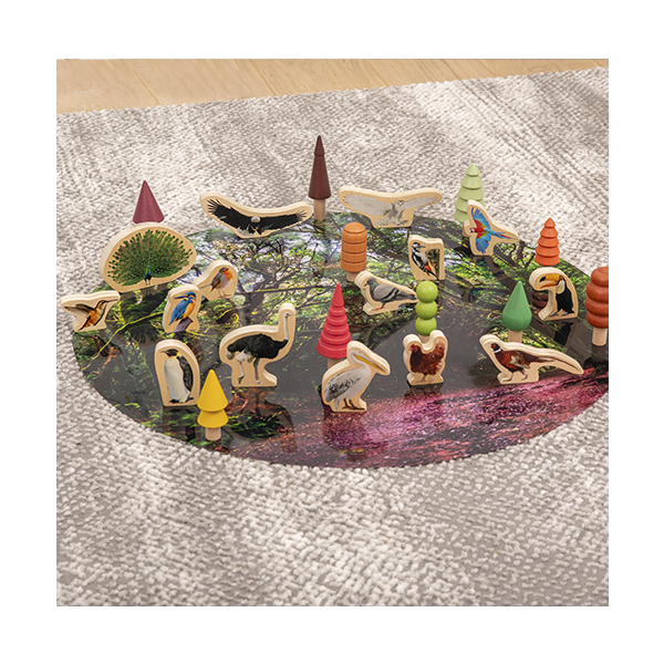 Set 15 bloques madera de pájaros